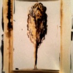 12049563_1508899492755623_3441860738995441866_n[1]